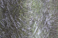 Horne fibreglass roof work